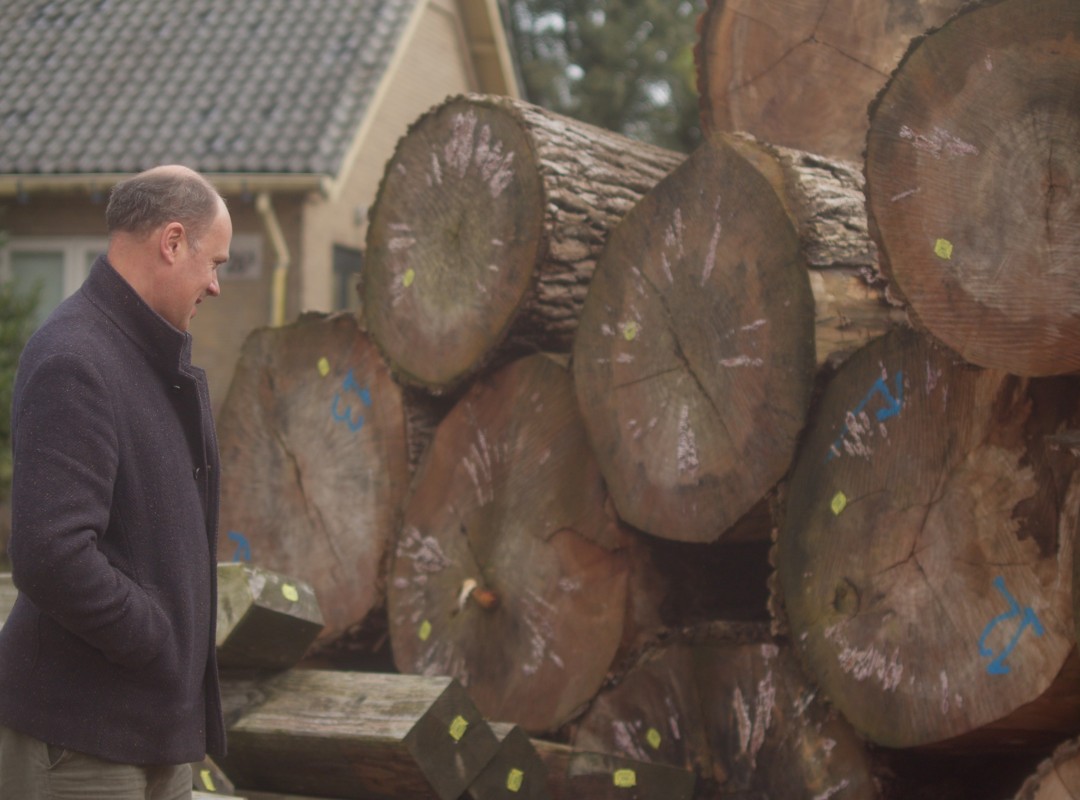 Rob de Looff die kijkt naar gekapte boomstammen 