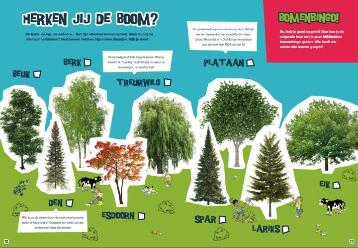 Puzzel: herken jij de boom? 