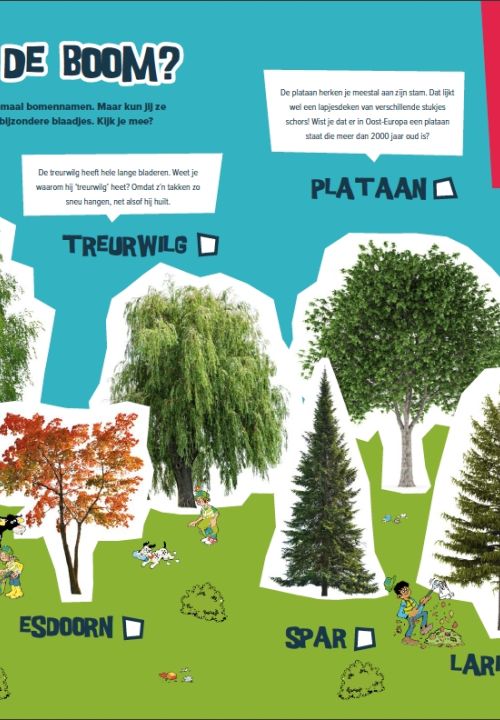 Puzzel: herken jij de boom? 