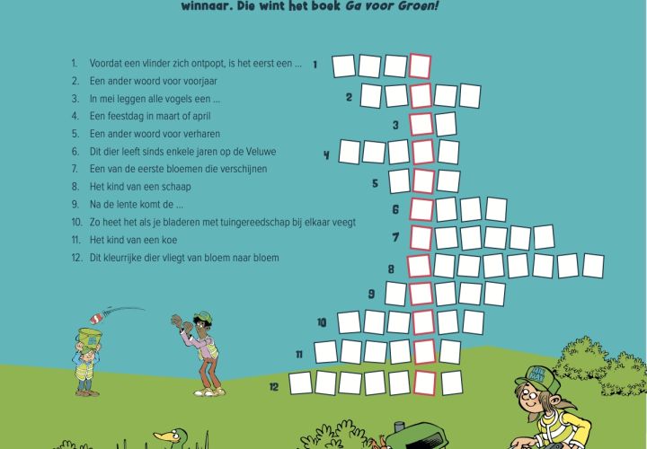 Lentepuzzel kruiswoordpuzzel 