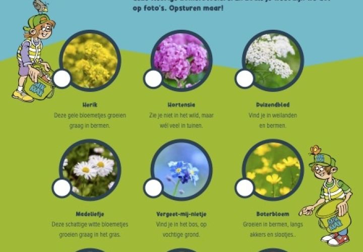 Bloemenbingo kaart 