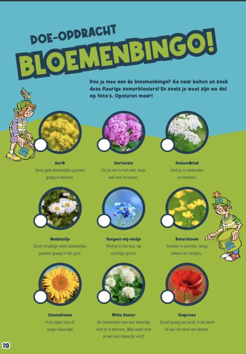 Bloemenbingo 