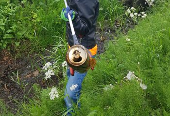 Geroest blikje ontdekt door een Mikmakker! Topper.