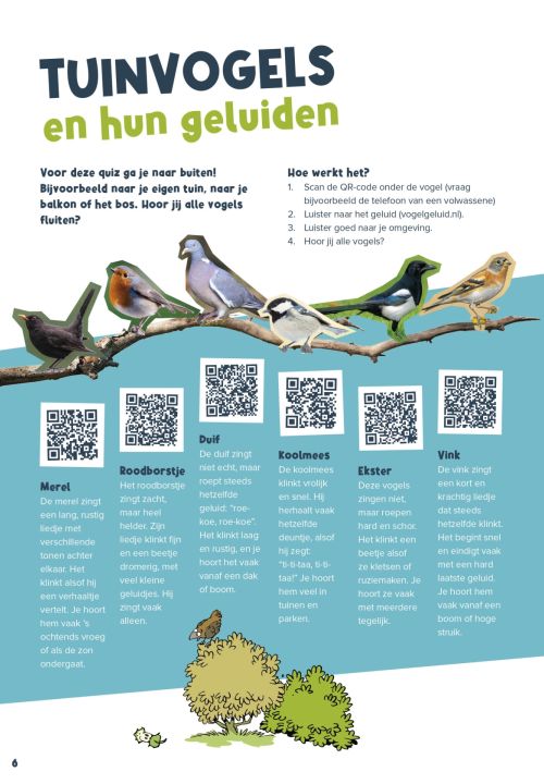 Tuinvogels en hun geluiden